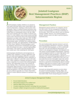 Jointed goatgrass best management practices (BMP): Intermountain Region