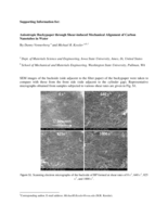 Anisotropic buckypaper through shear-induced mechanical alignment of carbon nanotubes in water