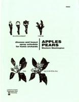 Disease and insect spray program for home gardens: Apples, pears: Western Washington