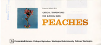 Peaches: Critical temperatures for blossom buds