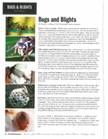 Bugs and Blights, October 2010