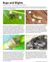 Bugs and Blights, March 2014