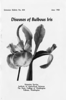 Diseases of bulbous iris