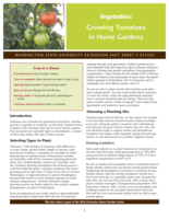 Vegetables: Growing tomatoes in home gardens