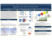 Immobilized CpG DNA assay to determine DNA access at the cell surface by a chimeric toll-like receptor