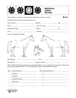 Individual Horse Record