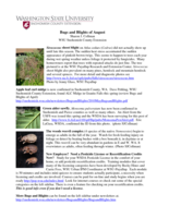 Bugs and Blights, August 2010