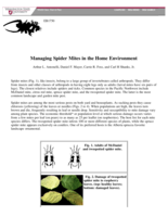 Managing Spider Mites in the Home Environment