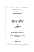 Pruning stone fruit trees