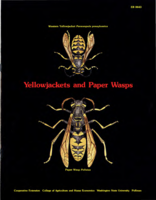 Yellowjackets and paper wasps