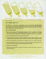 Feeding babies and little kids: The toddler age 1 to 3