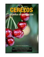 Cerezos sistemas de conducción