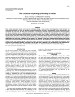 The functional morphology of hooding in cobras