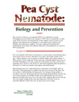 Pea Cyst Nematode