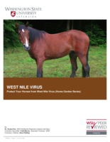 West Nile Virus : protect your horses from West Nile Virus
