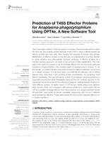 Prediction of T4SS Effector Proteins for Anaplasma phagocytophilum Using OPT4e, A New Software Tool