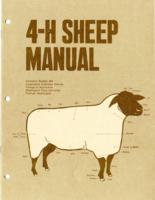 4-H sheep manual