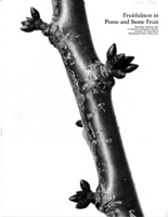 Fruitfulness in pome and stone fruit