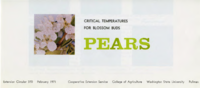 Pears: Critical temperatures for blossom buds