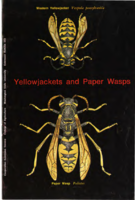 Yellowjackets and paper wasps