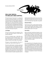 The pea leaf weevil : its biology and control