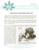 Armillaria (shoestring) root rot