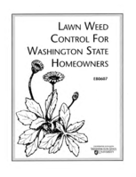 Lawn weed control for Washington state homeowners