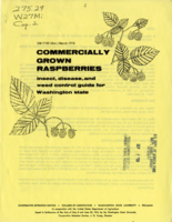 Commercially grown raspberries: Insect, disease, and weed control guide for Washington state