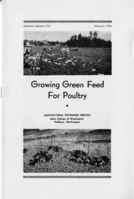 Growing green feed for poultry