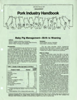Baby pig management-birth to weaning