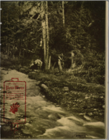 The Powwow, February 1913