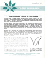 Plant diseases: Corticium red thread of turfgrass