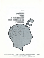 Working with 4-H members in self-determined projects