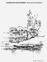 Shoreline management: What are the choices