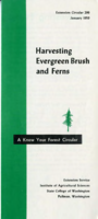 Harvesting evergreen brush and ferns