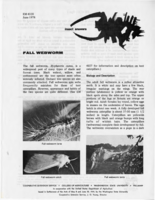 Fall webworm