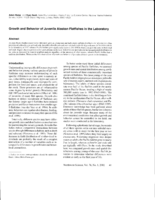 Growth and behavior of juvenile Alaskan flatfishes in the laboratory