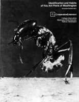Identification and habits of key ant pests of Washington