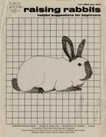 Raising rabbits: helpful suggestions for beginners