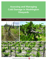 Assessing and managing cold damage in Washington vineyards