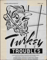 Turkey troubles