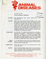 Bovine pulmonary emphysema