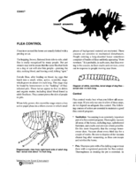 Insect answers: Flea control