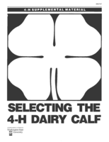 4-H supplemental material: Selecting the 4-H dairy calf