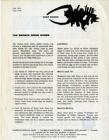 The bronze birch borer