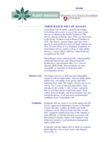 Verticillium Wilt of Alfalfa