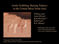 Costly Gobbling: Raising Turkeys in the Central Mesa Verde Area