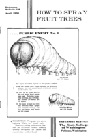 How to spray fruit trees