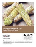 Growing wasabi in the Pacific Northwest