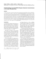 Feeding Ecology of Juvenile White Sturgeon (Acipenser transmontanus) in the Lower Columbia River